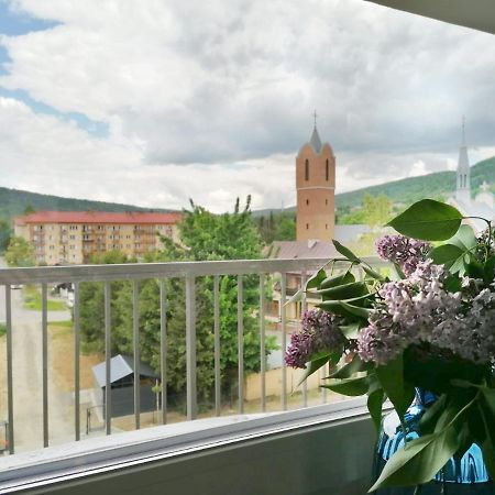 Apartament Gromadzyń 39 Ustrzyki Dolne Zewnętrze zdjęcie
